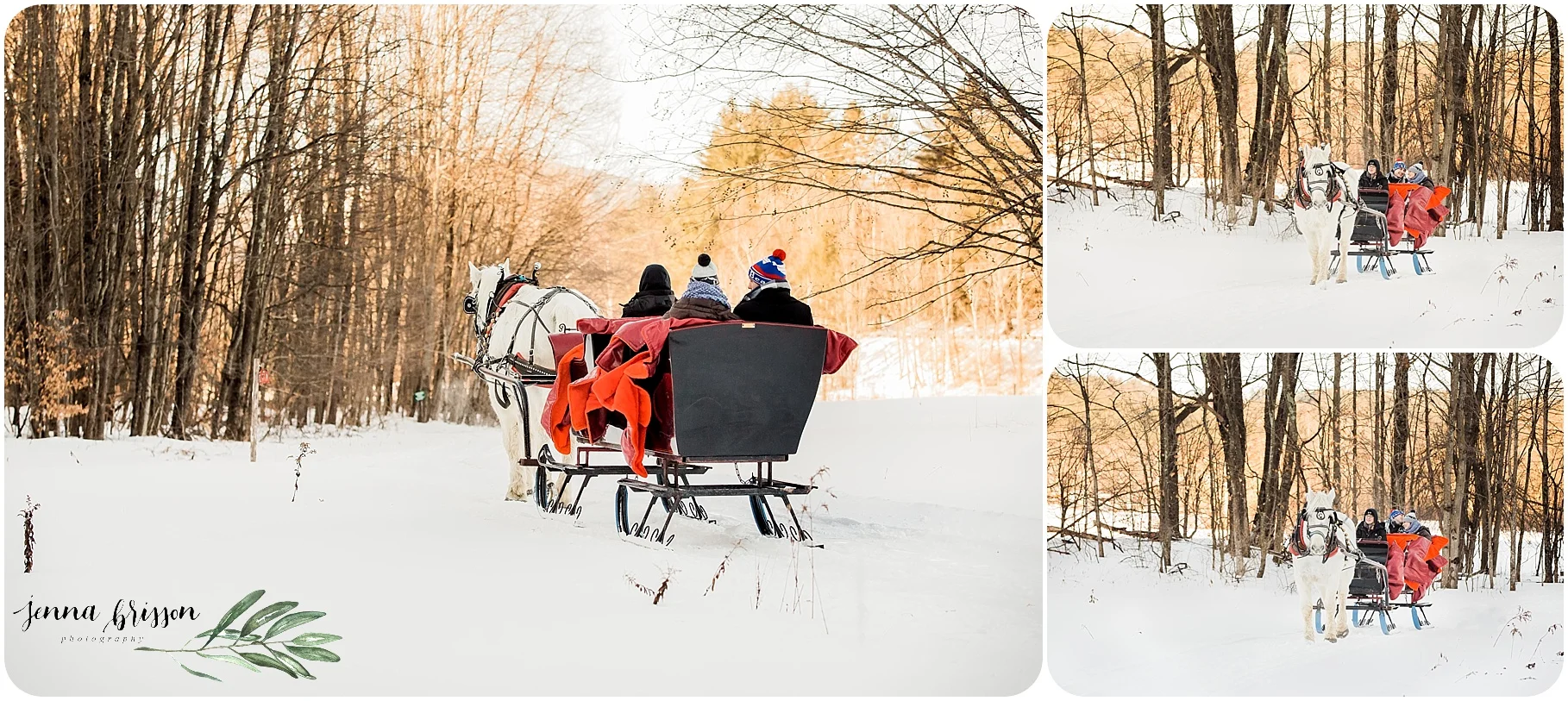 Gentle Giants Proposal Stowe Vermont