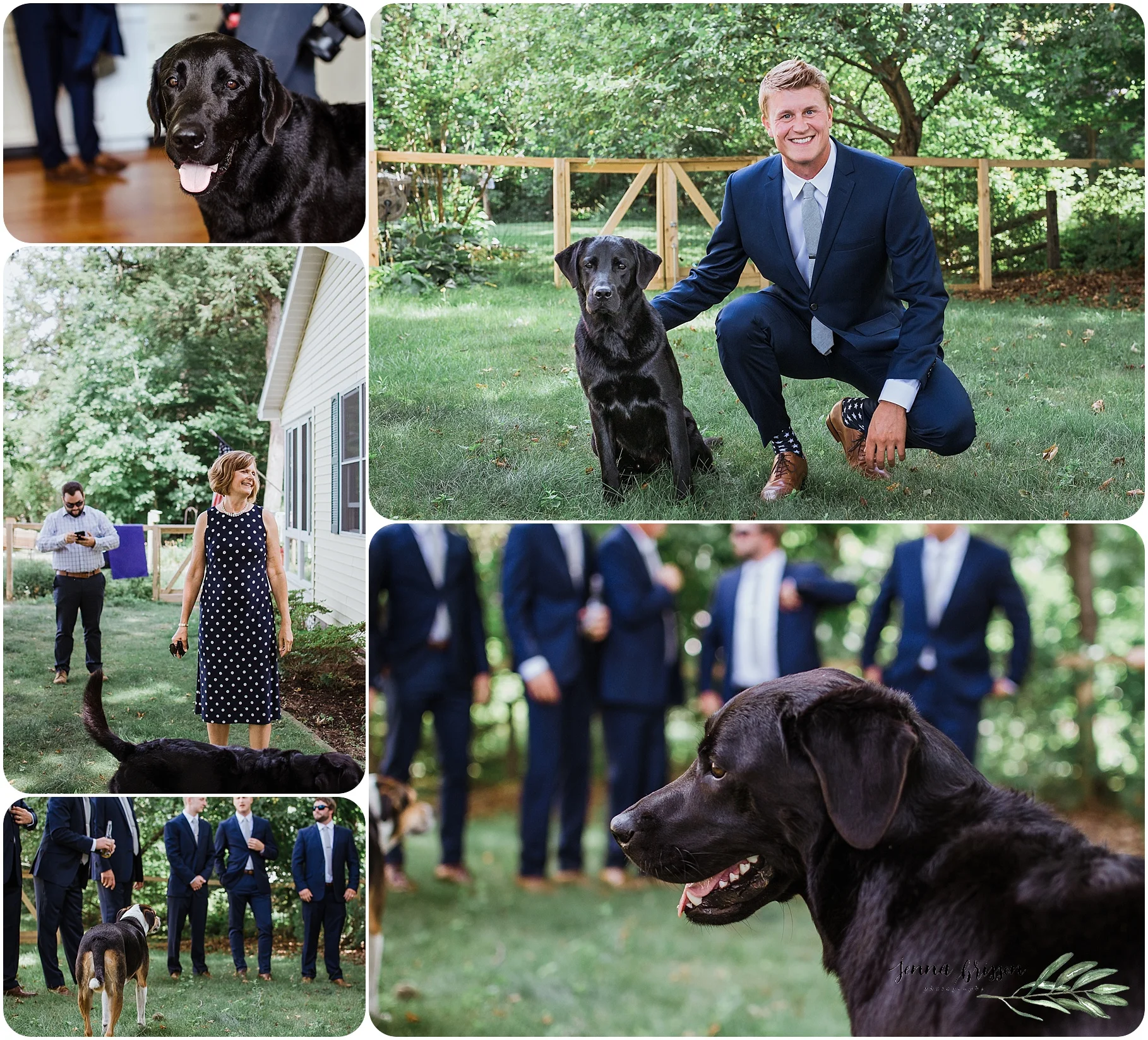 Vermont Wedding Photography With Dog