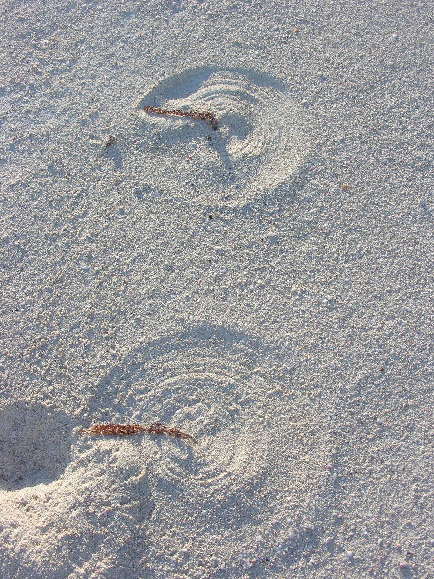 wendy mitman clarke still water bending beach art bahamas cruising world