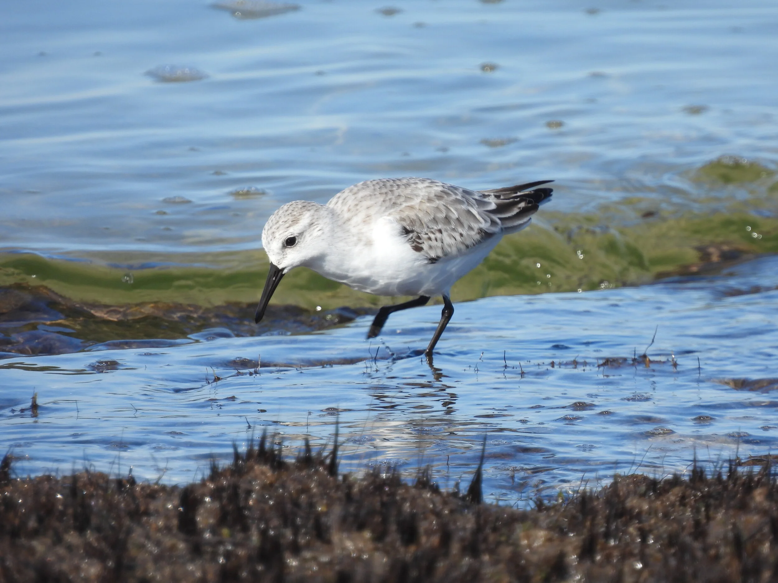 Janes Is_11_07_2020201109_075.JPG