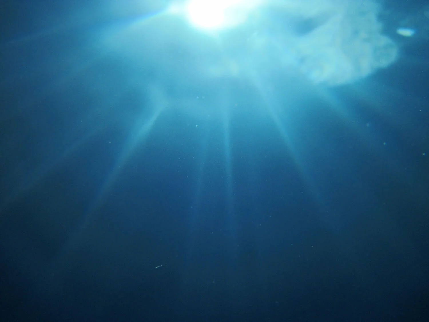 underwater.jpg