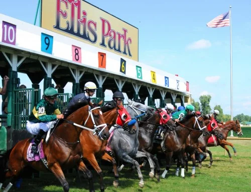 ELLIS PARK RACING