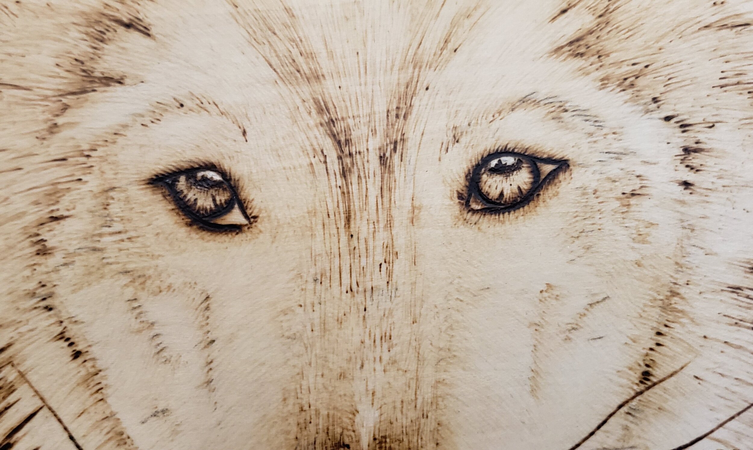 The Wolf wood panel print