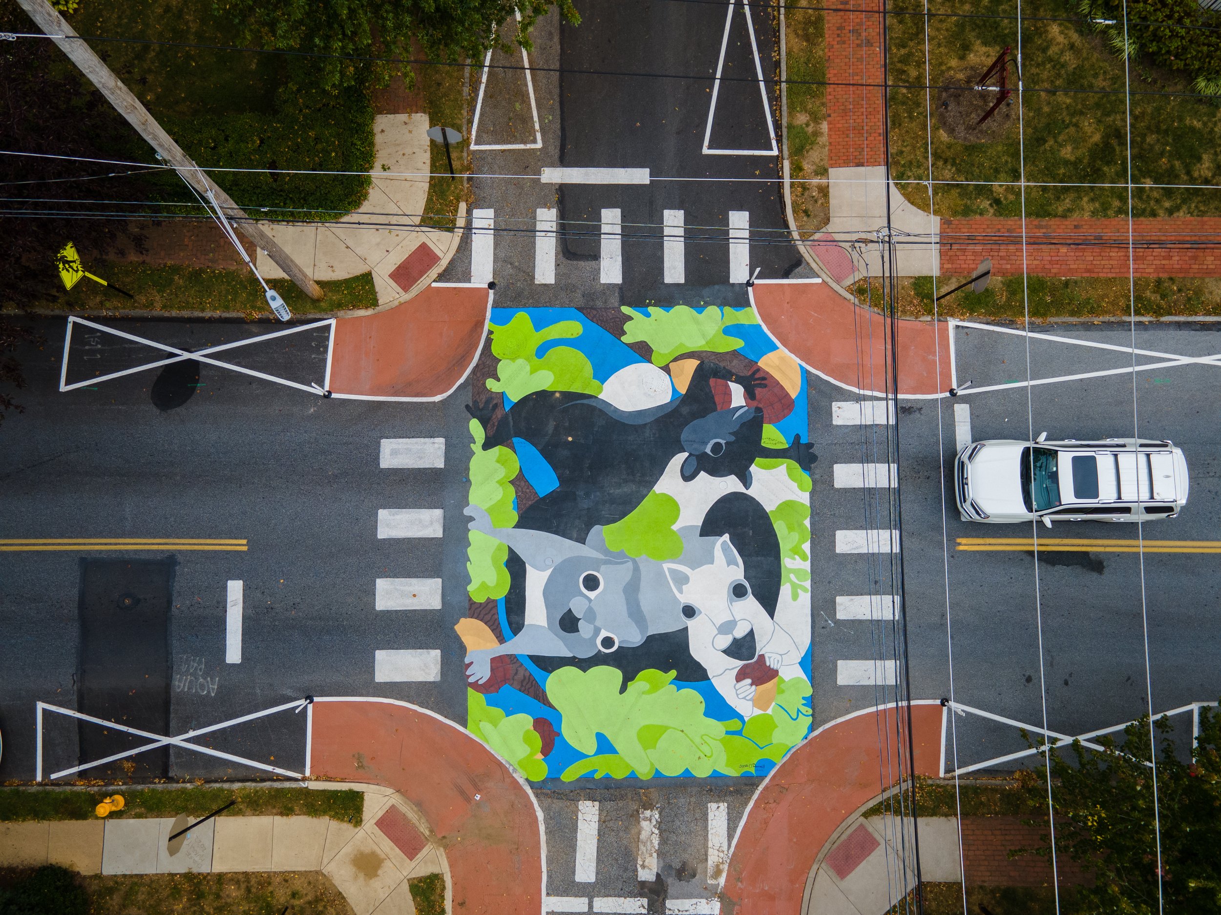 Squirrel Mural-4.jpg