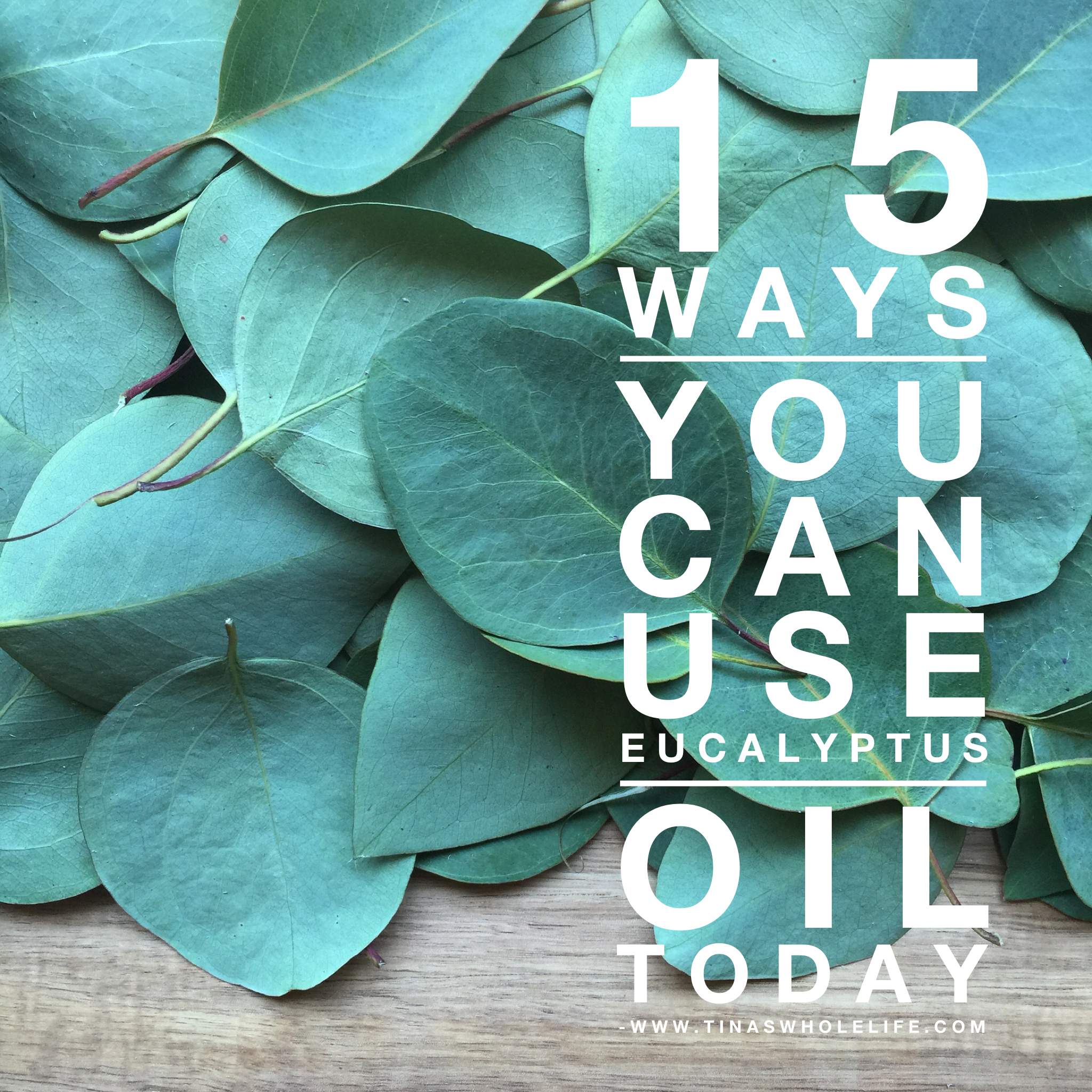 15 Ways You Can Use Eucalyptus Oil Today