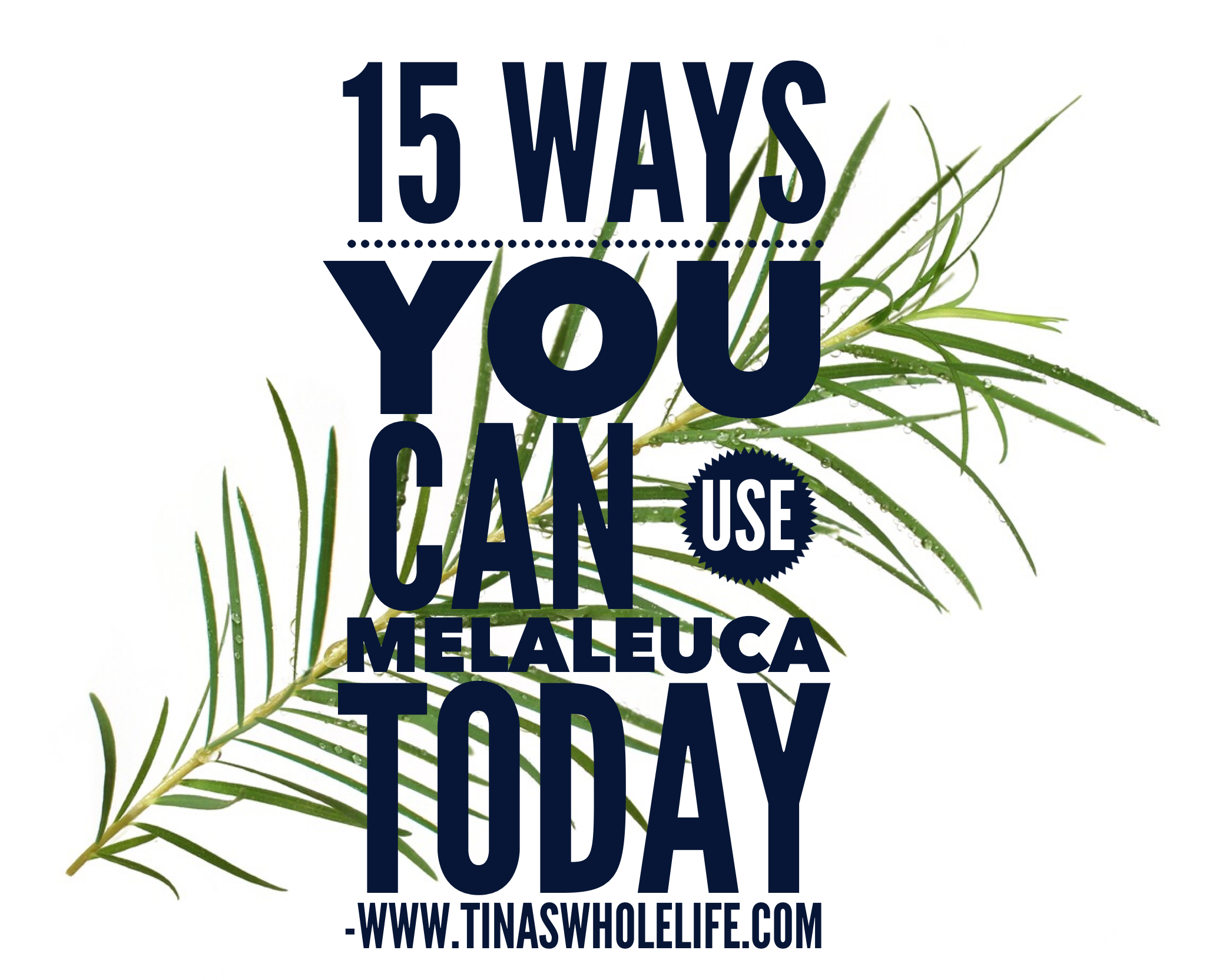 15 Ways You Can Use Melaleuca Today