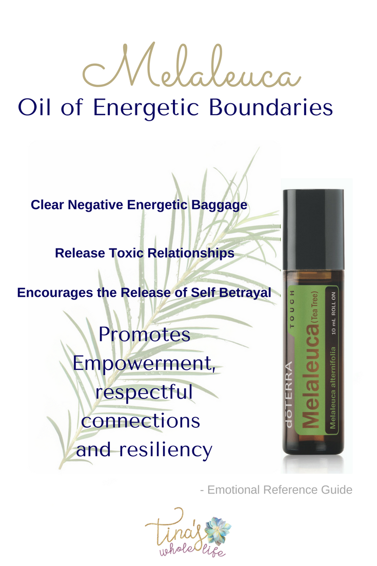 Melaleuca - Energy Boundary.png