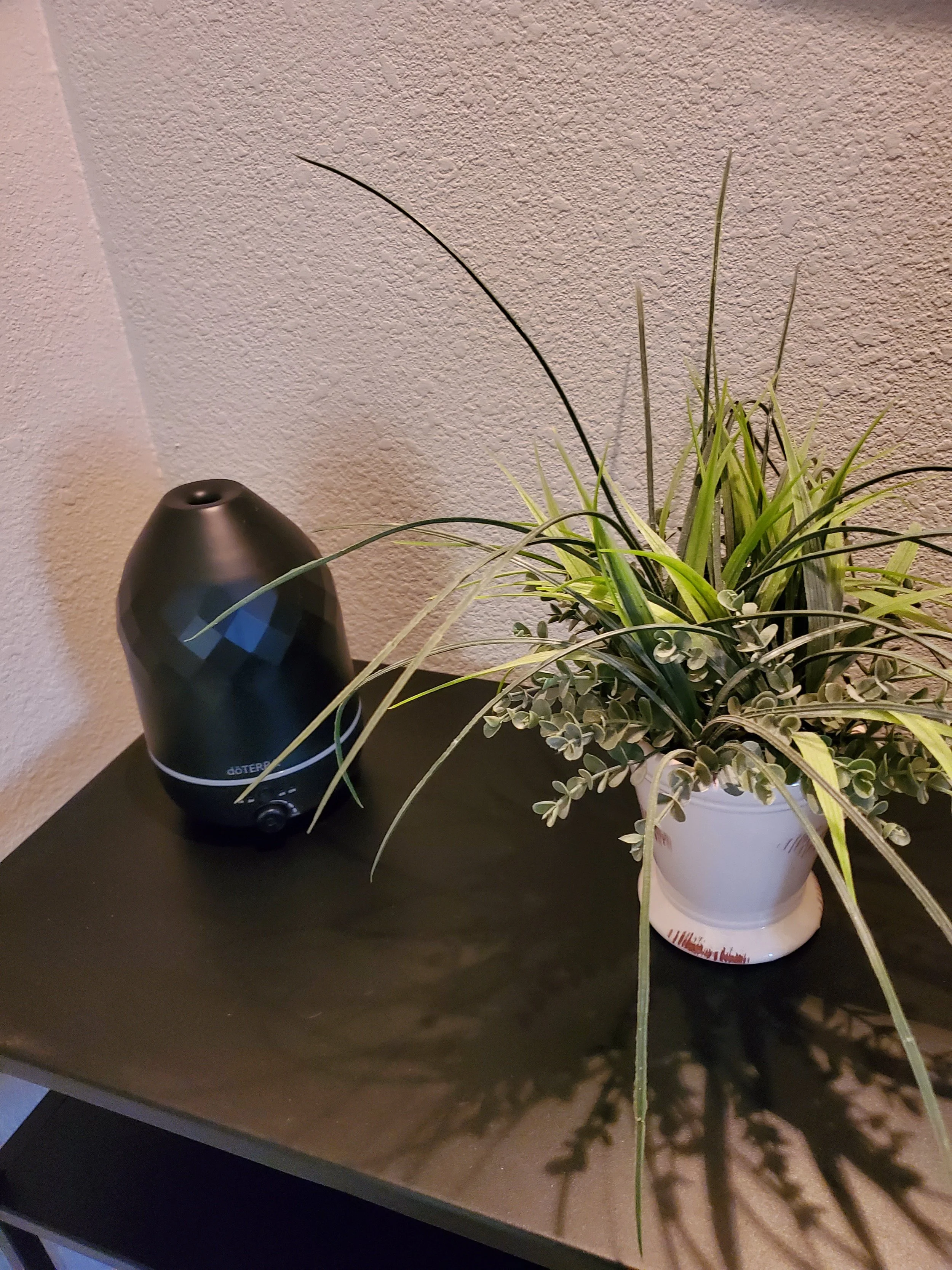20230701_071832.jpg