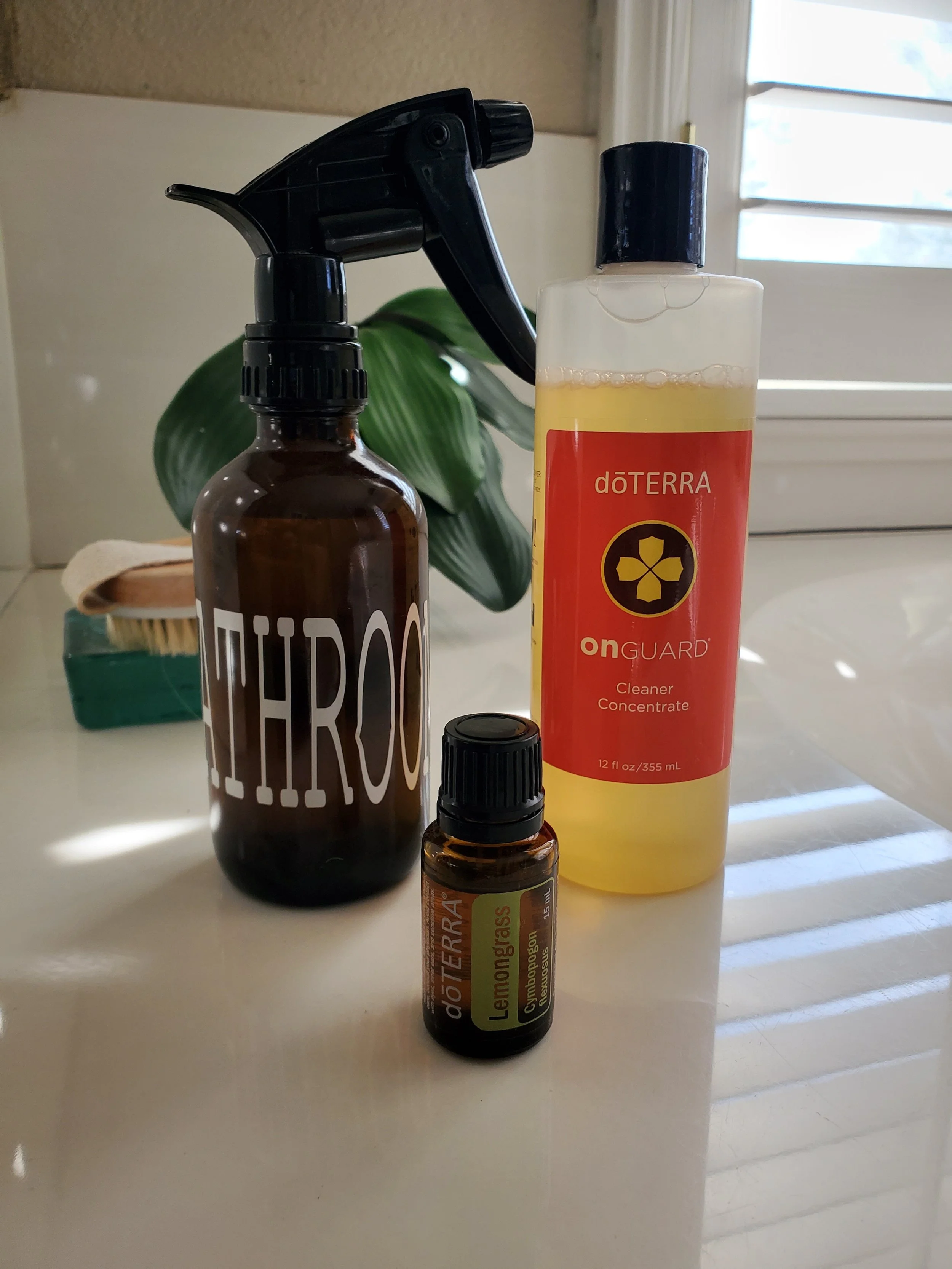 20231125_095118.jpg