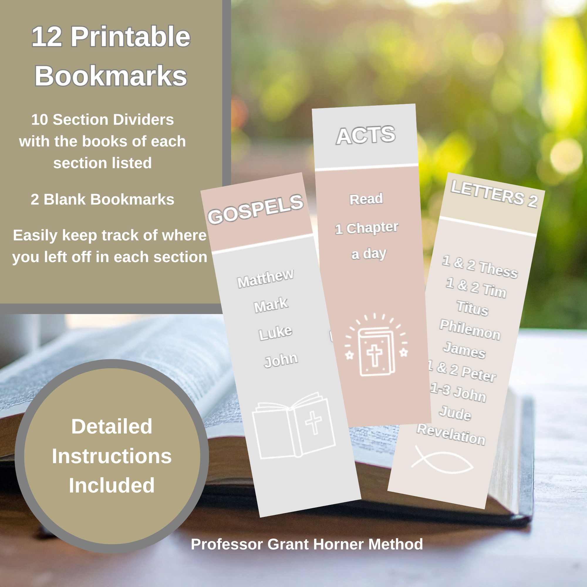 Horner Bible Reading Plan Graphic Book Marks.png