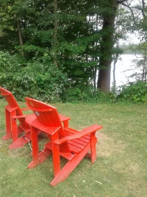 20180713_154451.jpg