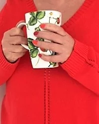 rouge 1.jpg