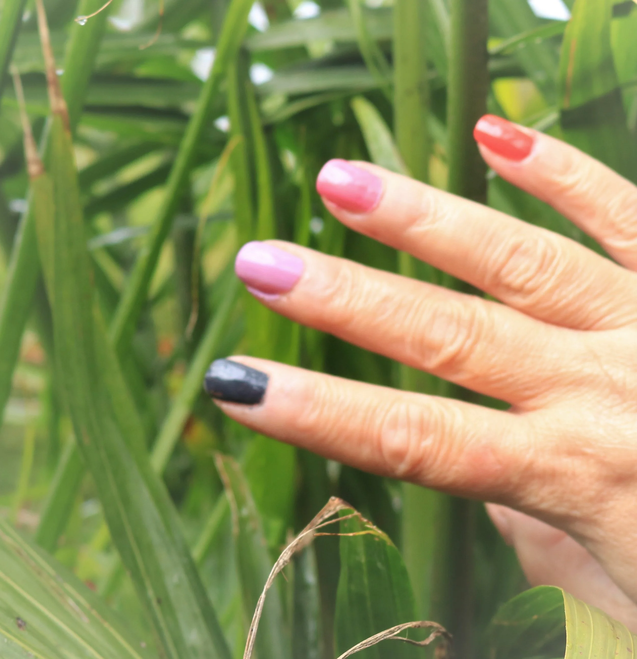 Mes Ongles Et Moi 55 Fois Plus Belle Le Blogue