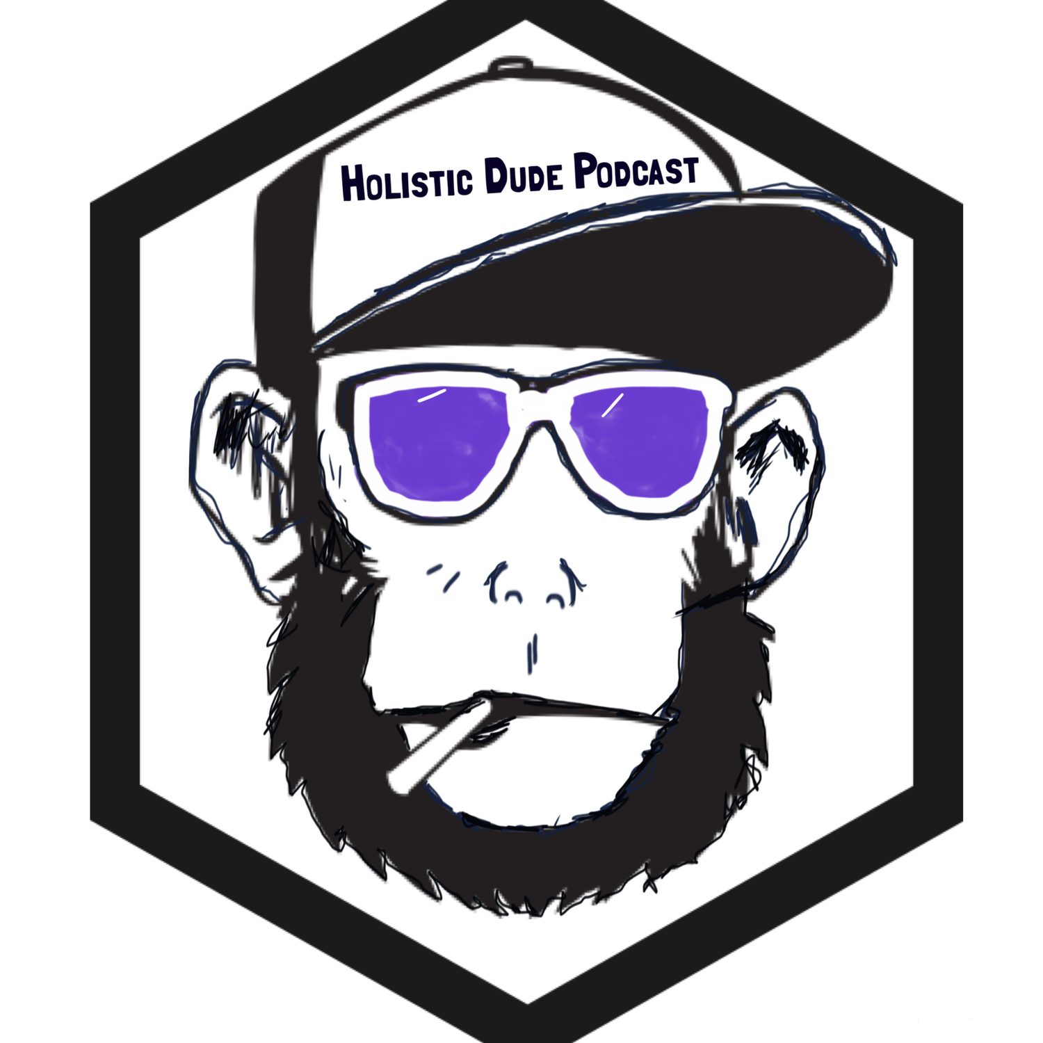 Holistic Dude Podcast podcast artwork