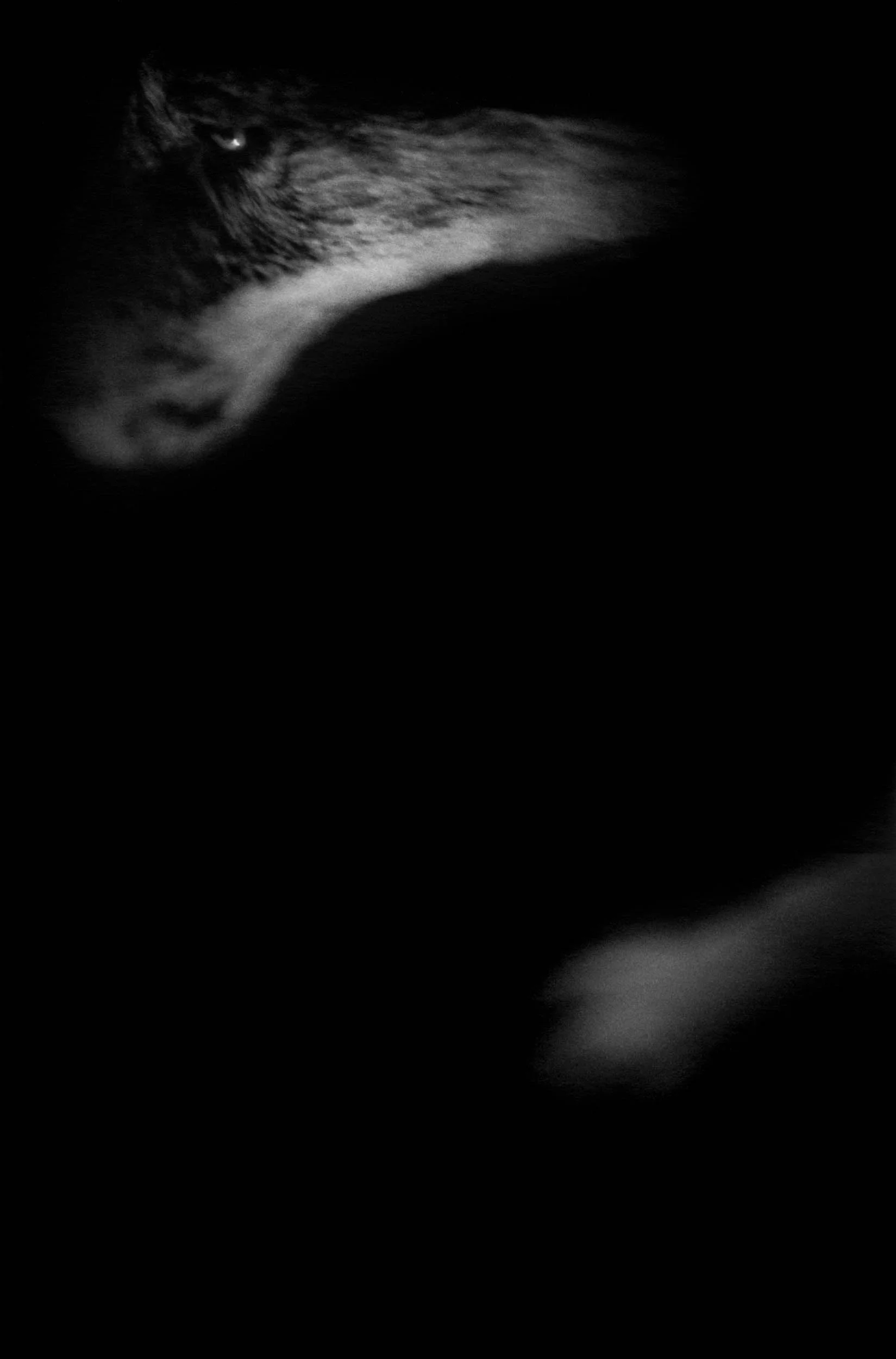 BW1409-01.jpg