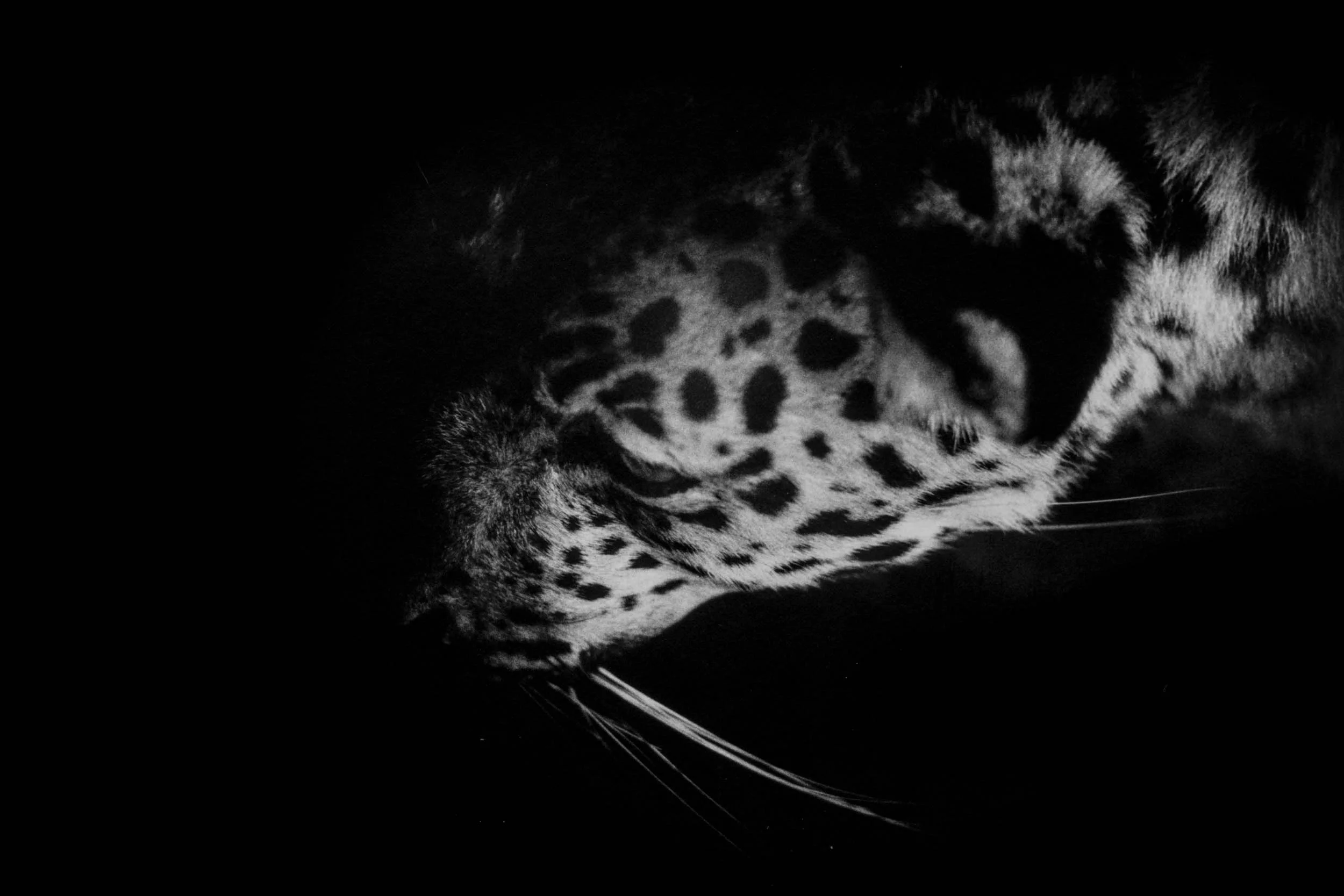 BW1403-06.jpg