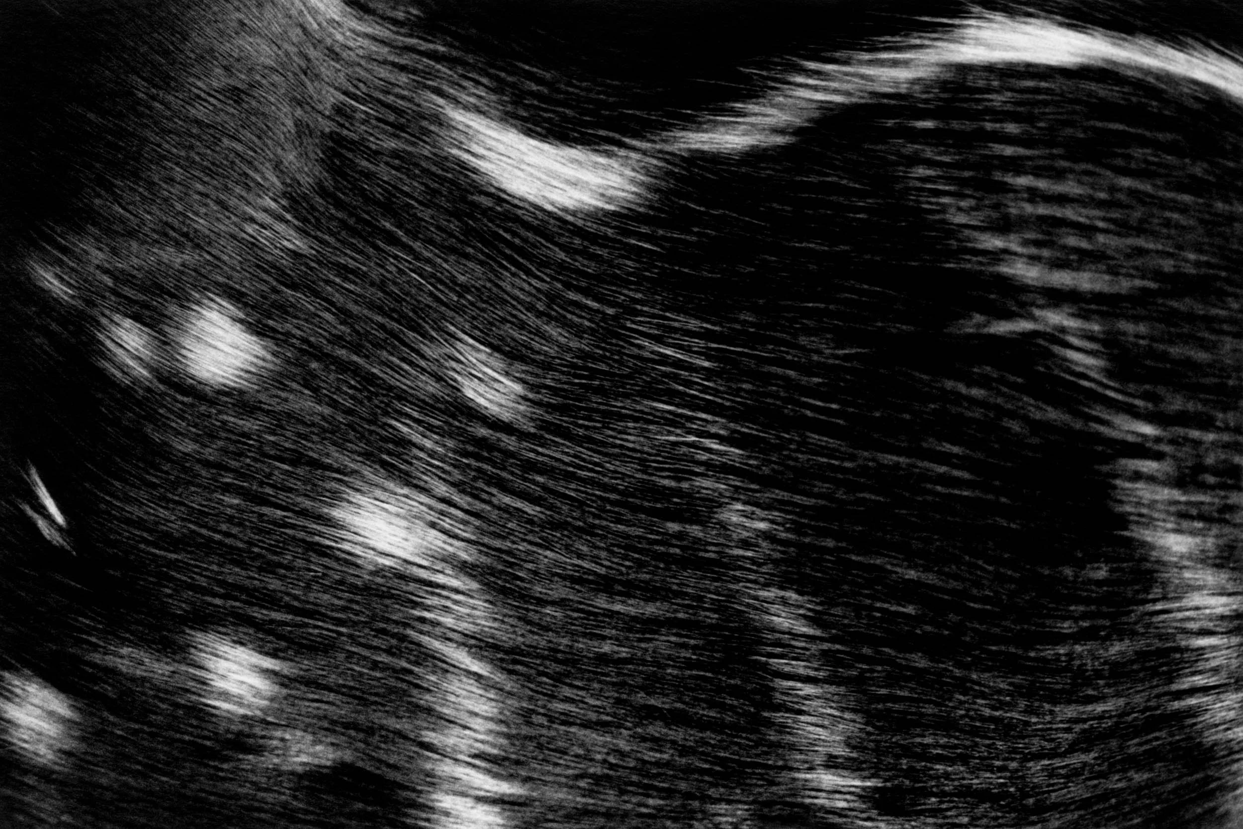 BW1405-07.jpg