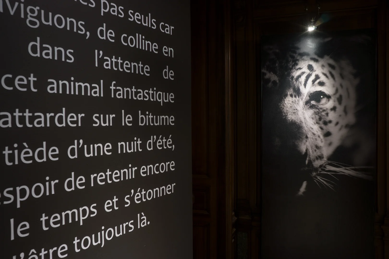 Octobre - Décembre 2015 - La nuit tranquille à Bar-le-Duc