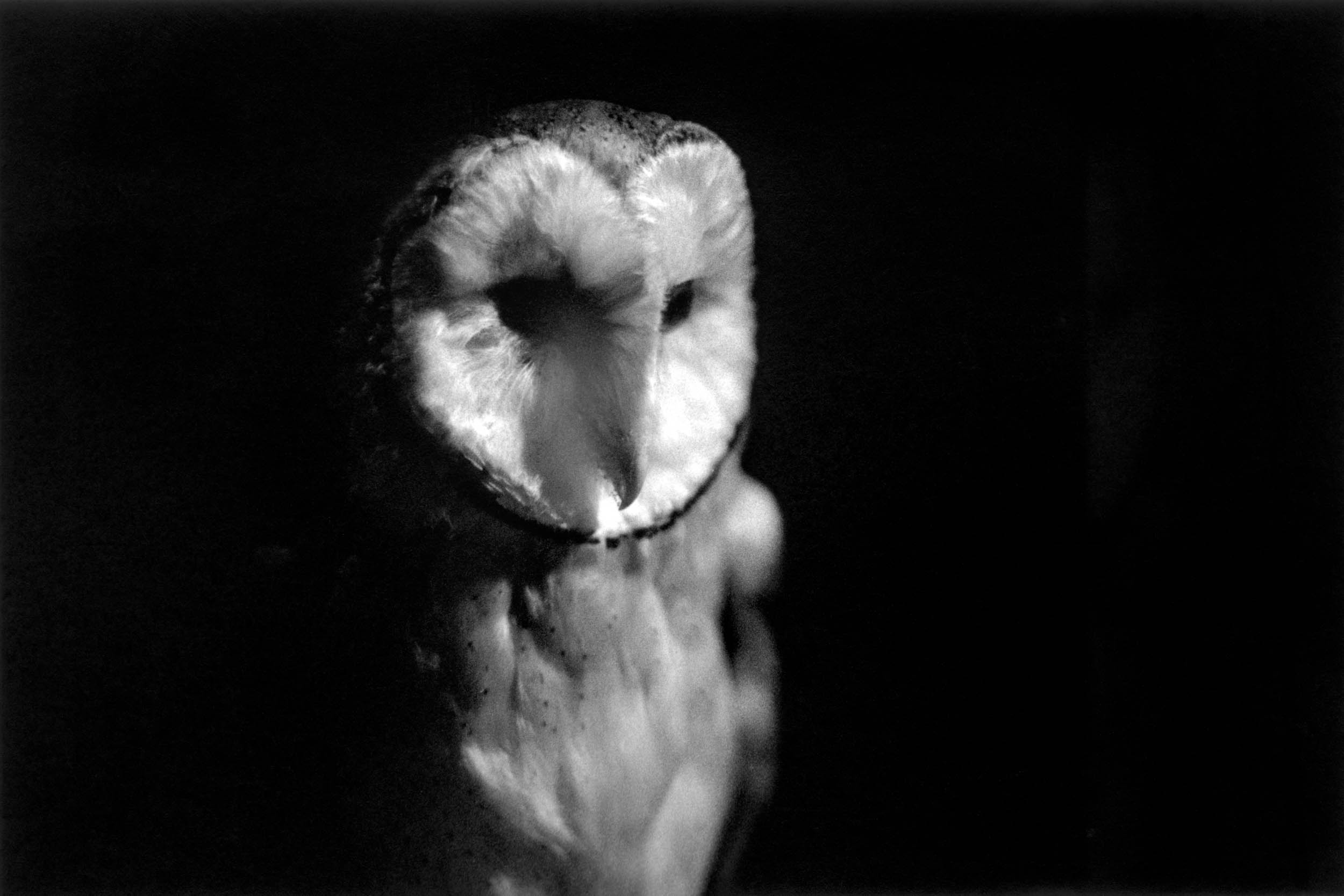 BW1402-01.jpg
