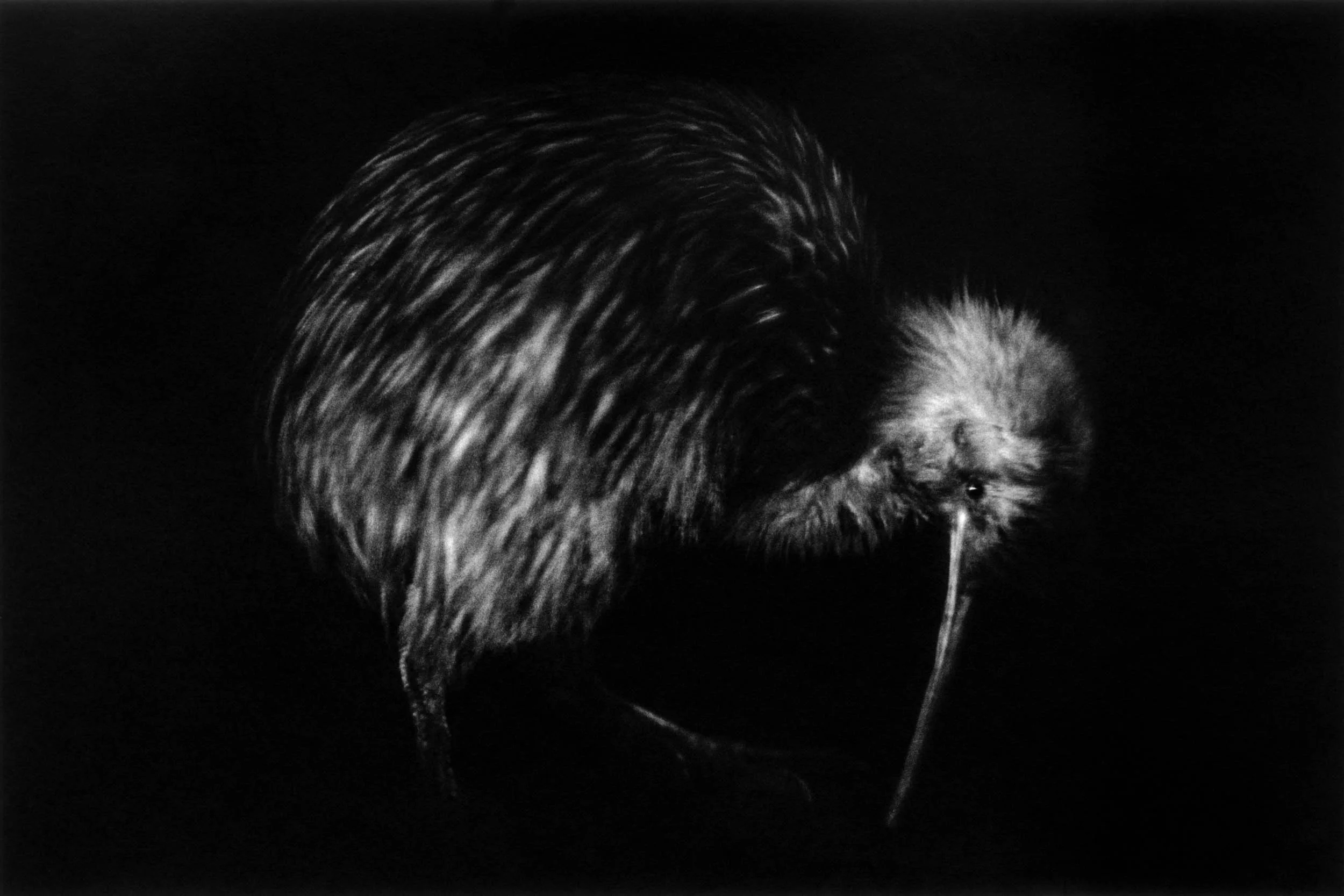 BW1401-05.jpg