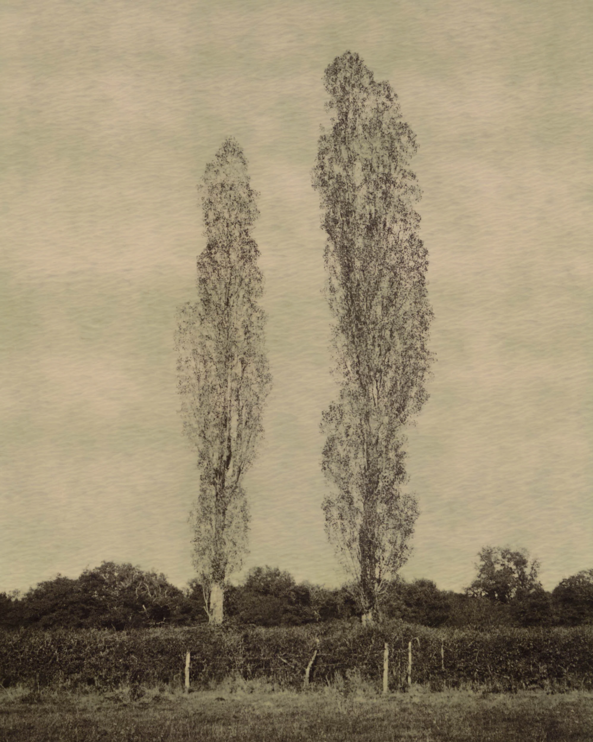 Polaroid-05.jpg