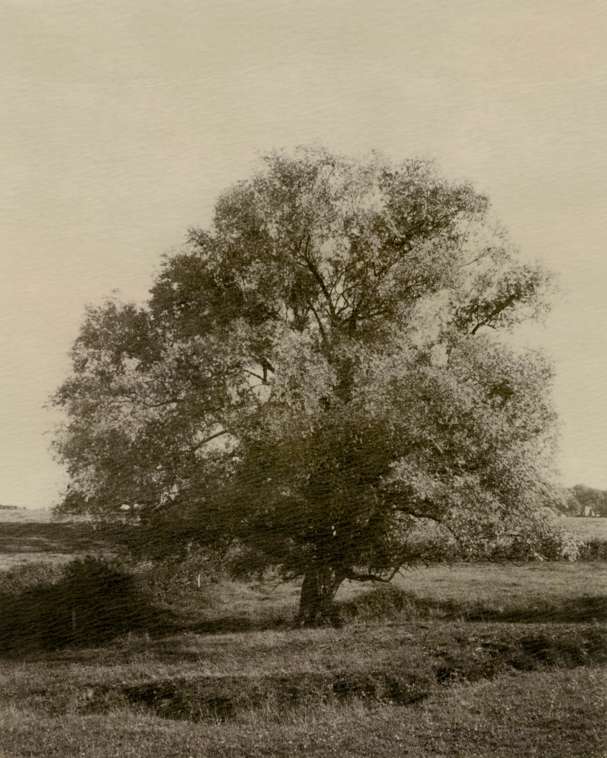 Polaroid-06.jpg
