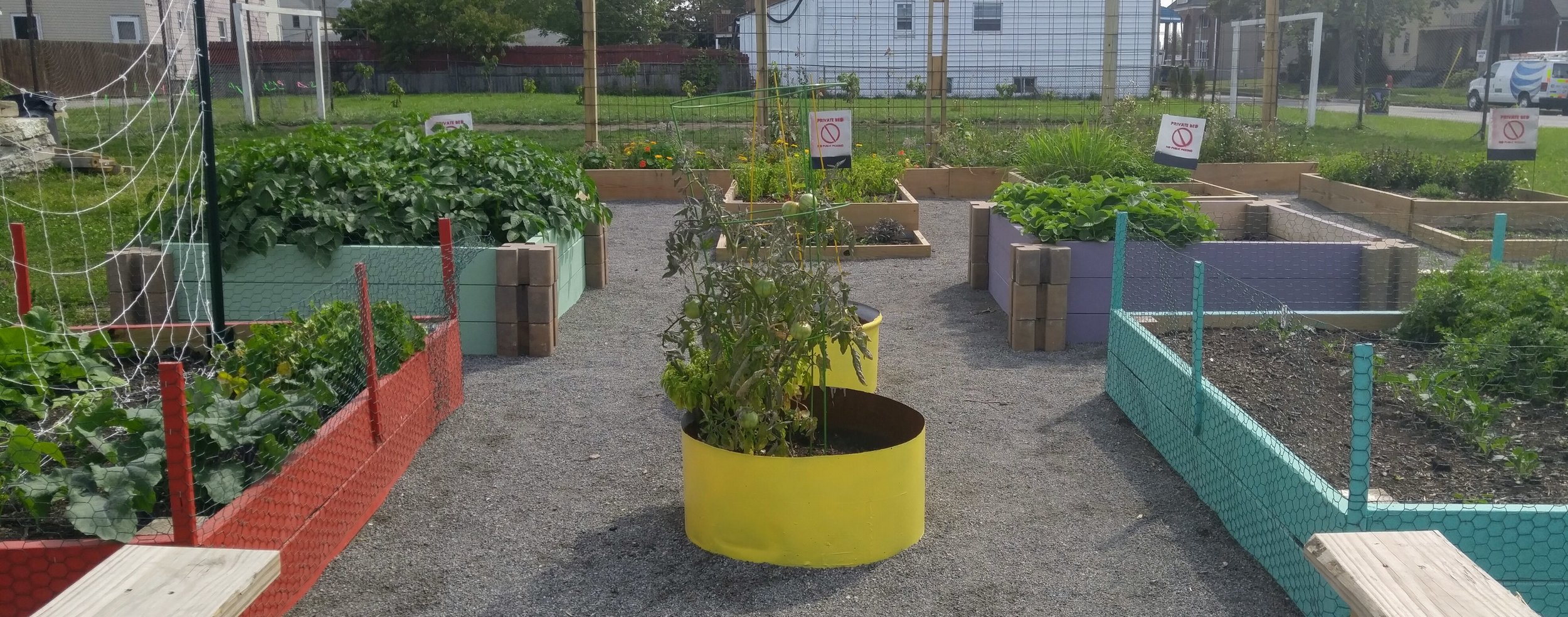 Garden 2.jpg