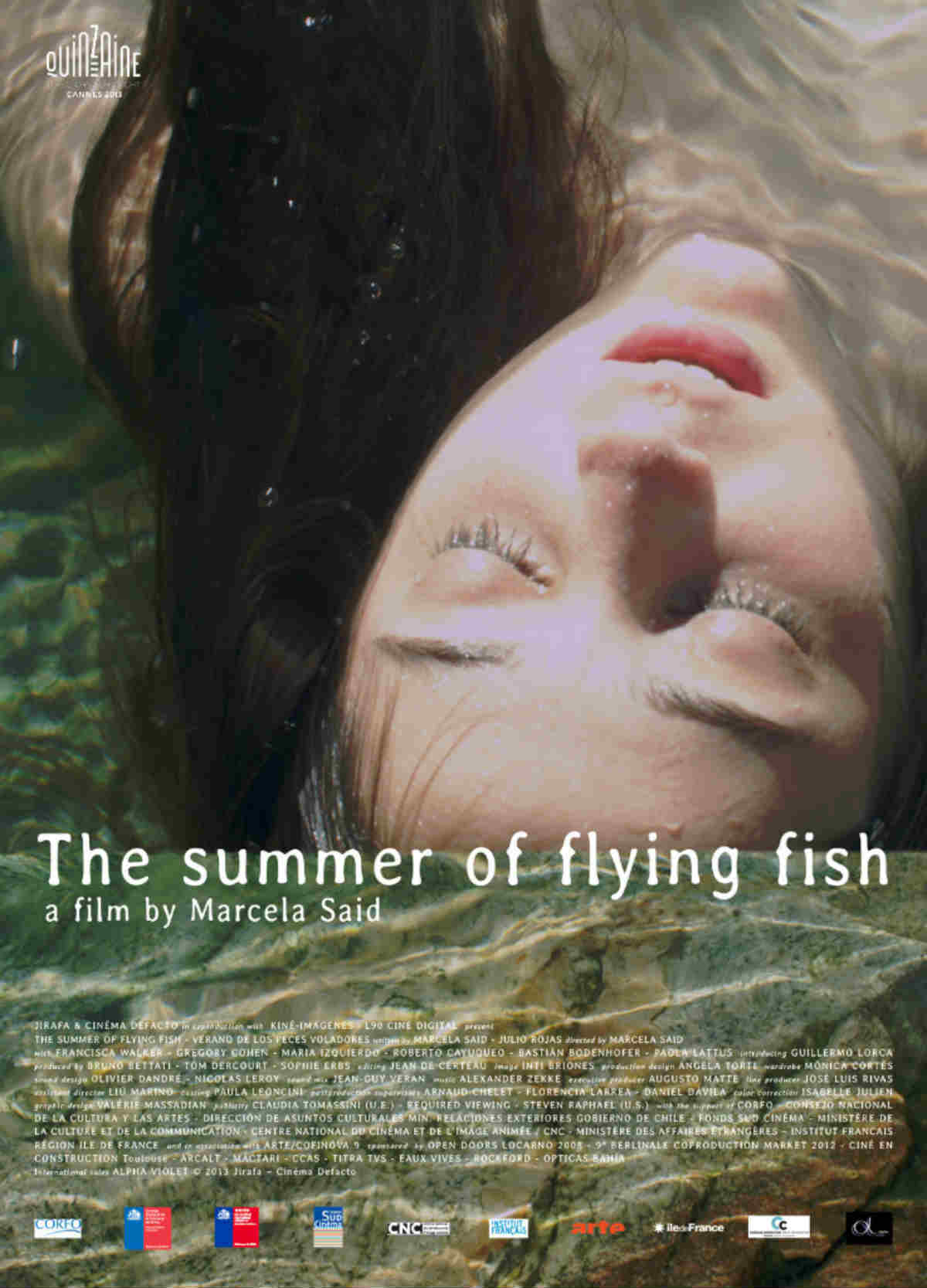 afiche verano peces voladores.jpg