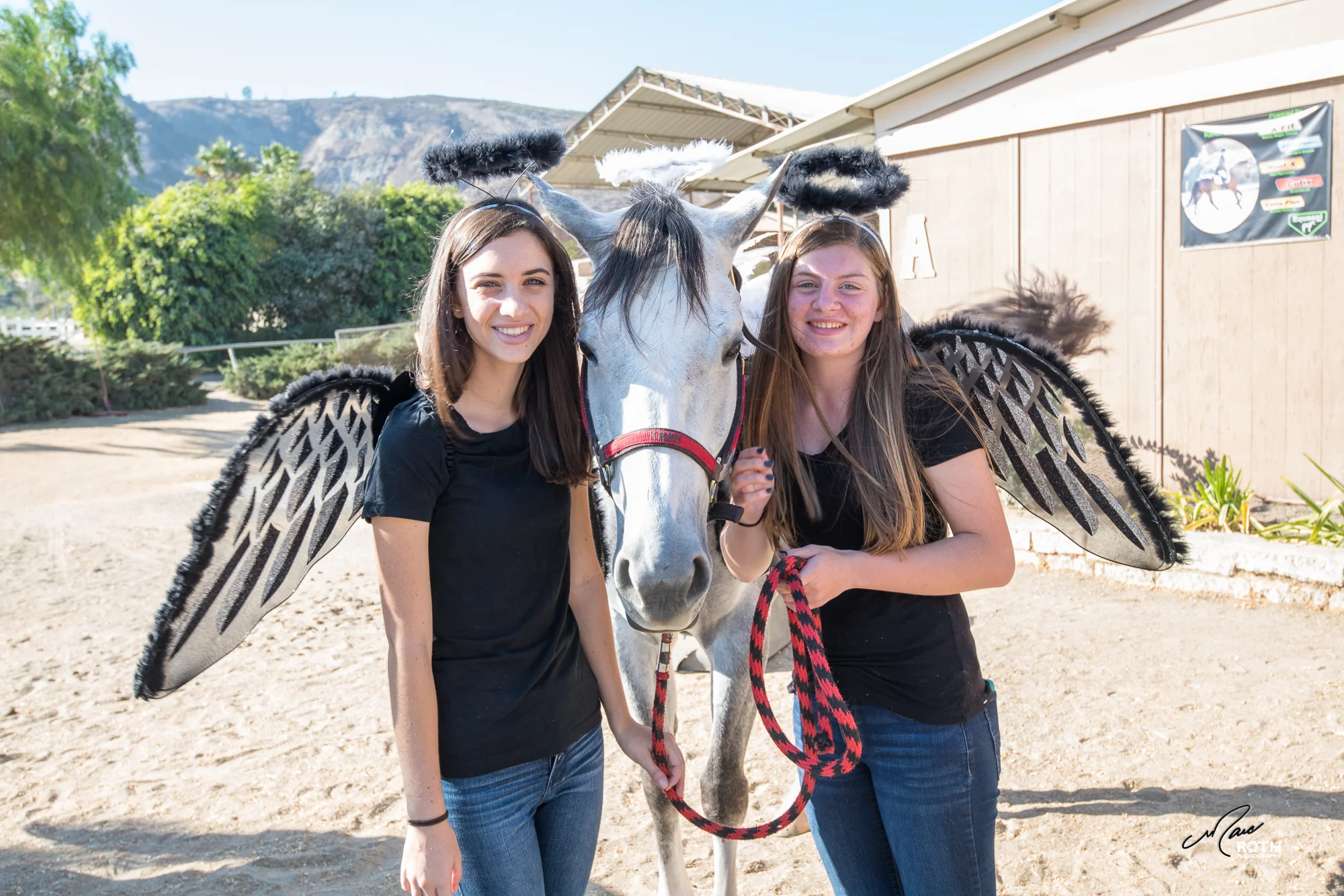 102817_Horsey_Halloween_133 (2).jpg
