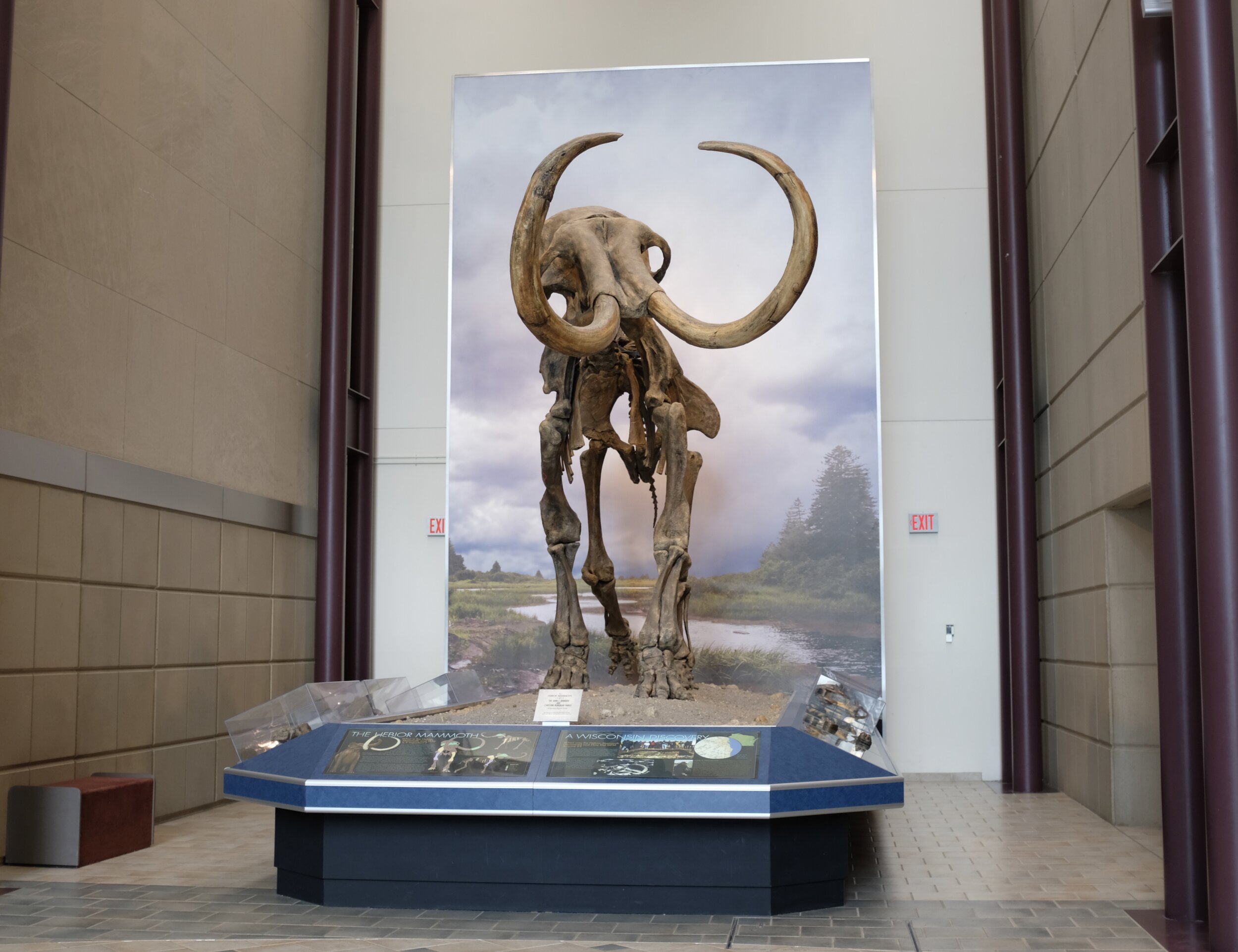 5 Milwaukee Activities for November