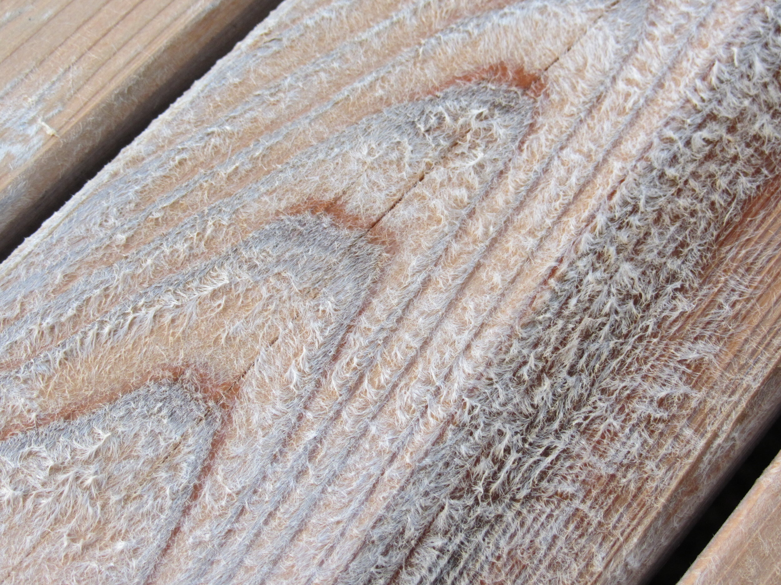 Lifted Deck Wood Fibers