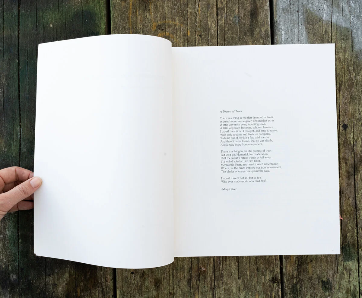 arzt_books-9.jpg