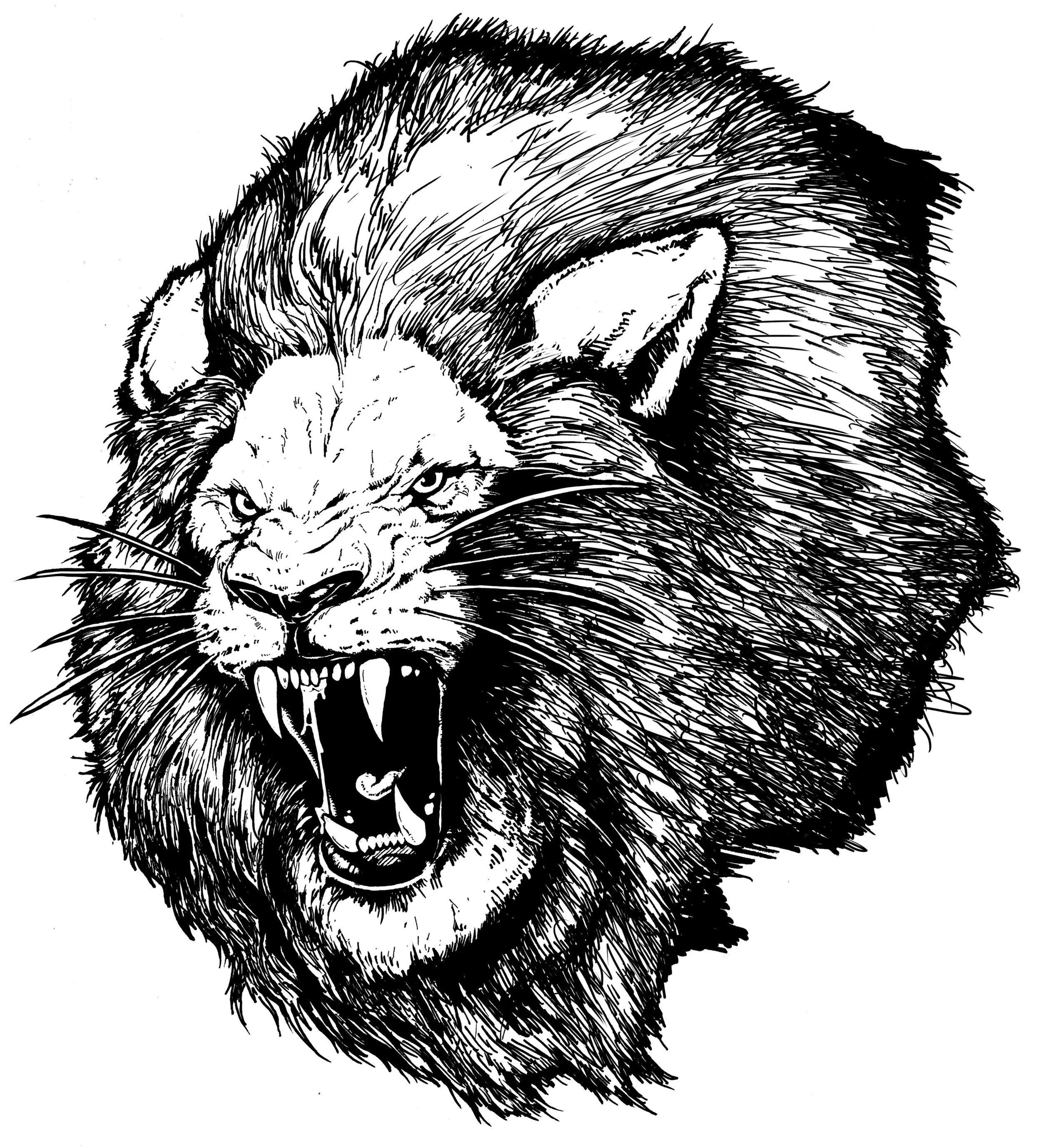 lion.jpg