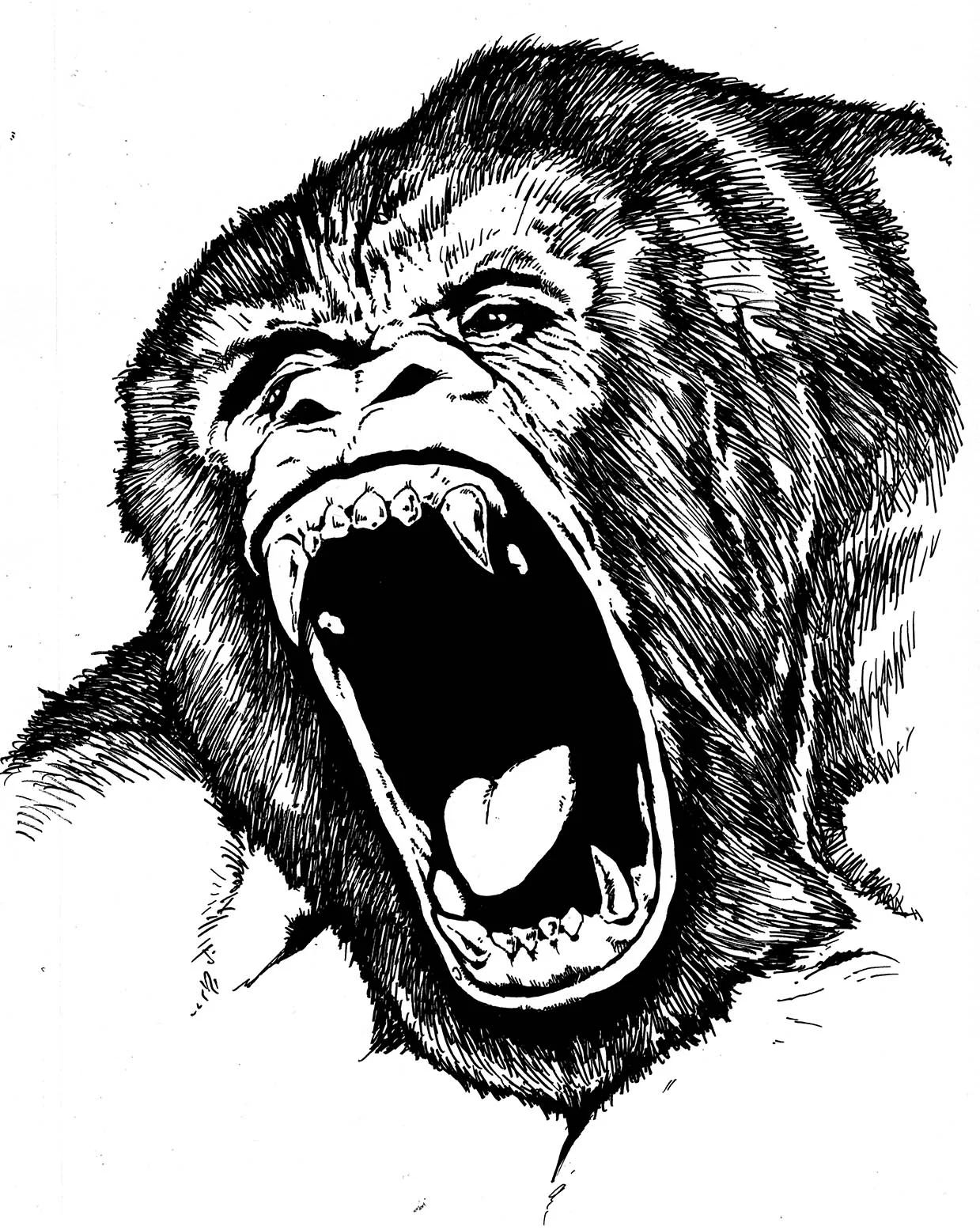 gorilla.jpg