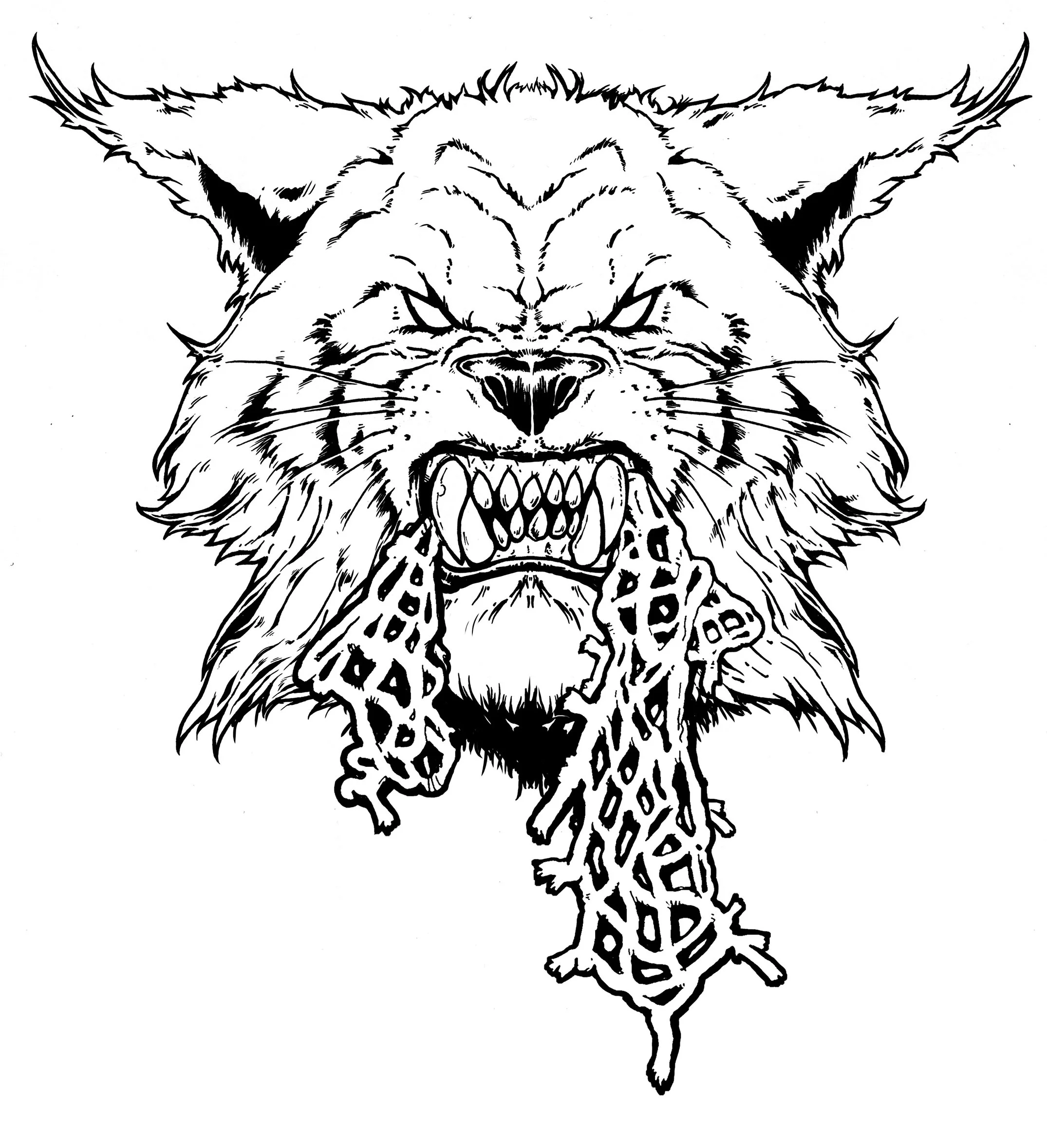 wildcat_blackline.jpg