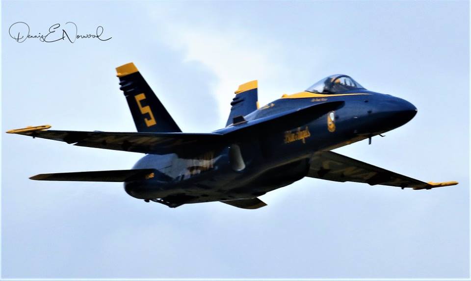 Blue Angel-1.jpg