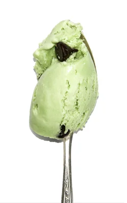 Fresh mint ice cream with dark chocolate chips
