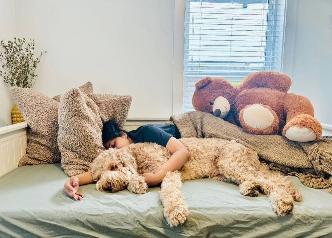 Happy restful weekend everyone ✨️🧸❤️🐶 ✨️

📸@_shivpati 
.
.
.
.
.
.
#goldendoodleofinstagram#goldendoodle
#grasskennels #bestdogsintheworld #nonshedding #fallinlove #doodlelover #doodlekisses #okanagan #beautifulbritishcolumbia #kelowna #vernon #pu