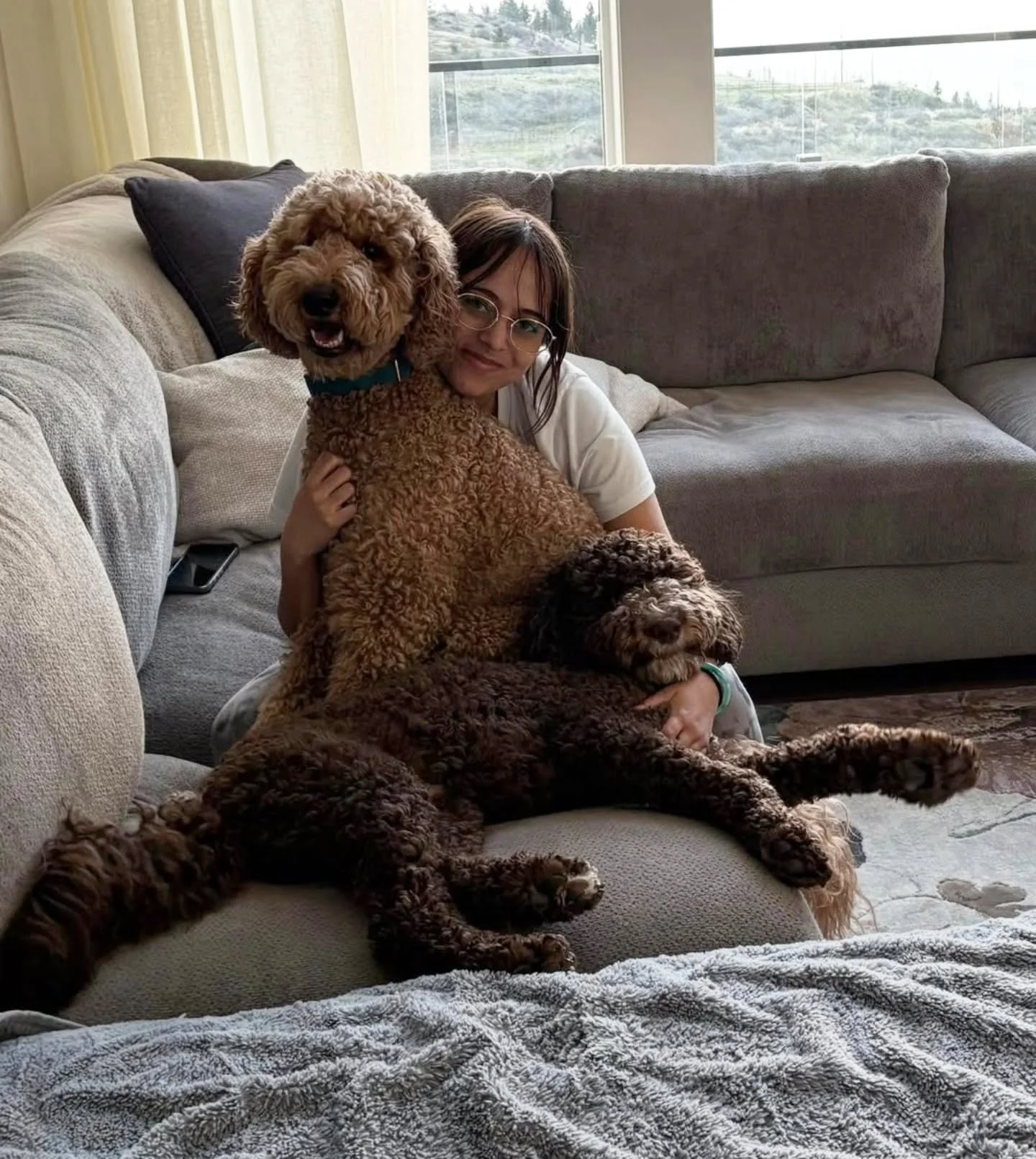 Unconditional love 🤎🤎🐶🐶

📸@just_two_dooods 
.
.
.
.
.
#f3bgoldendoodle #goldendoodleofinstagram #grasskennels #bestdogsintheworld #nonshedding