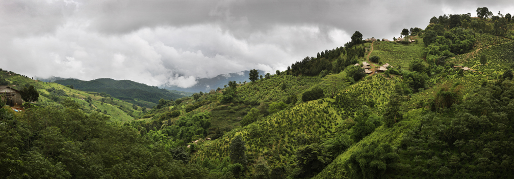 Santikhiri (Mae Salong), Thailand