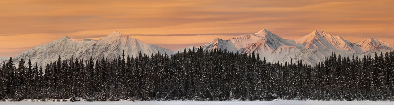 Untitled_Panorama1 (8).jpg