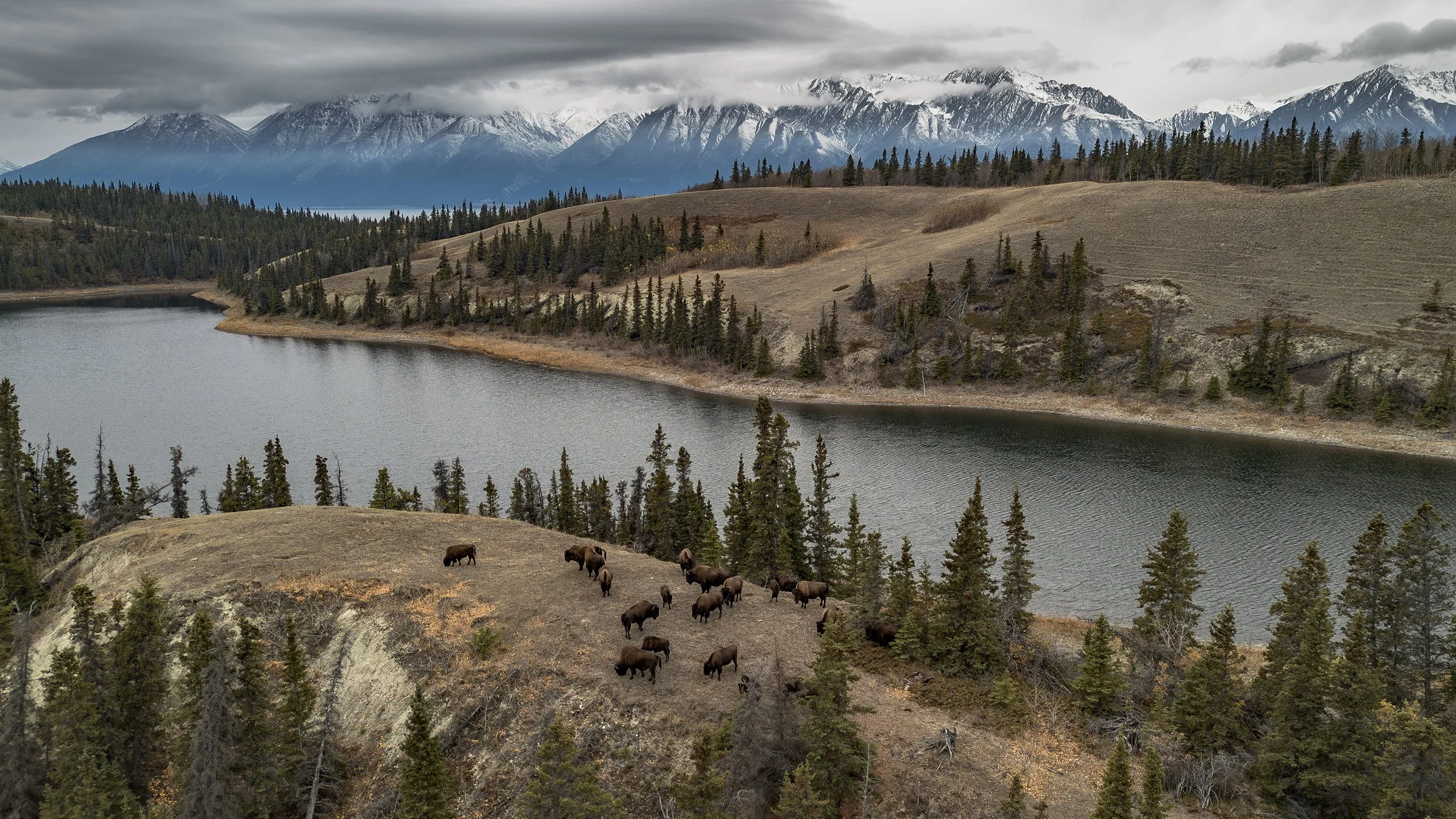 DJI_0513-Enhanced-NR copy.jpg