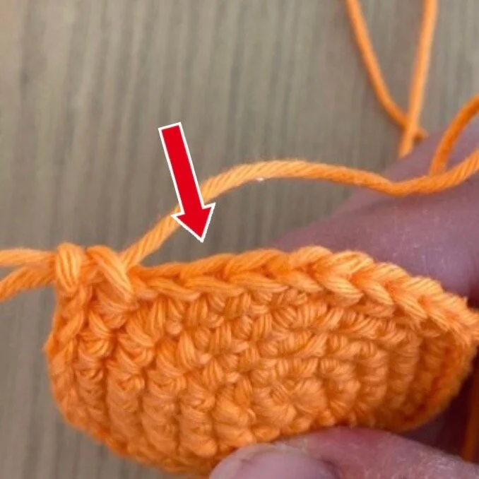 Was ist eigentlich das hintere Maschenglied?