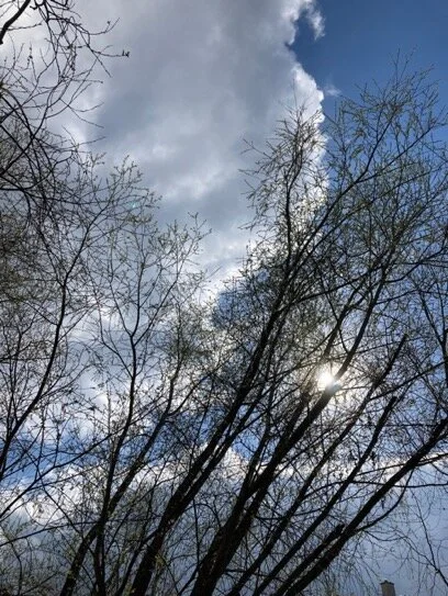 März 2021: Einfach mal fragen