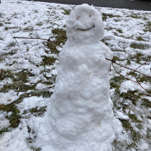 April 2021: Ein fleißiger Hase, ein Dino namens Dieter und ein Geheimnis