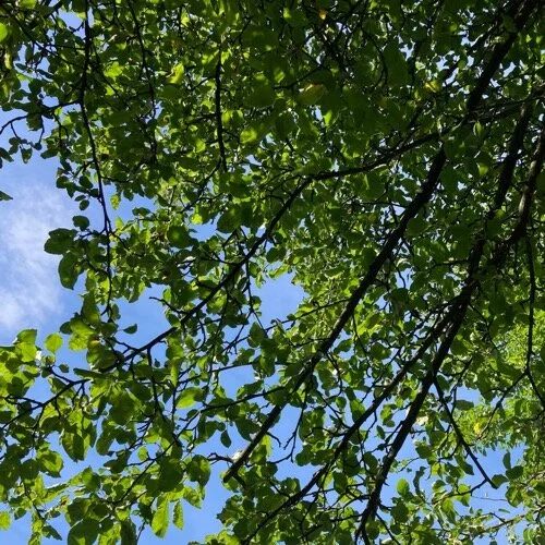 Juni 2021: Halbzeit!