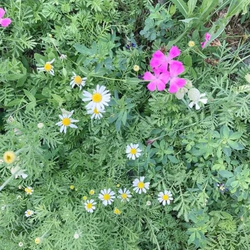 Dein ganz persönliches Häkelabenteuer (eine Anti-Anleitung)