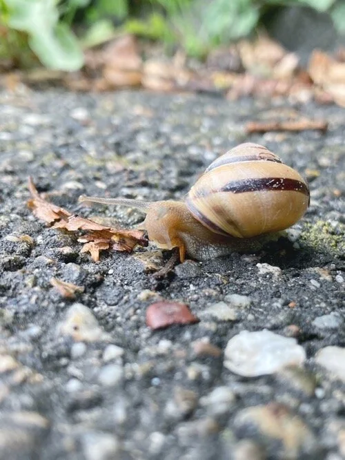 Juli 2021: Erste Male