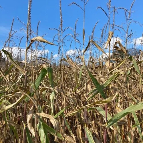 September 2021: War da was?