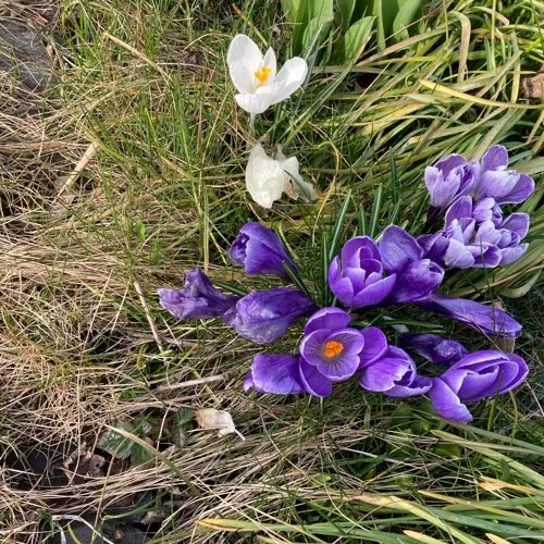 März 2022: Es fliegt, es fliegt...